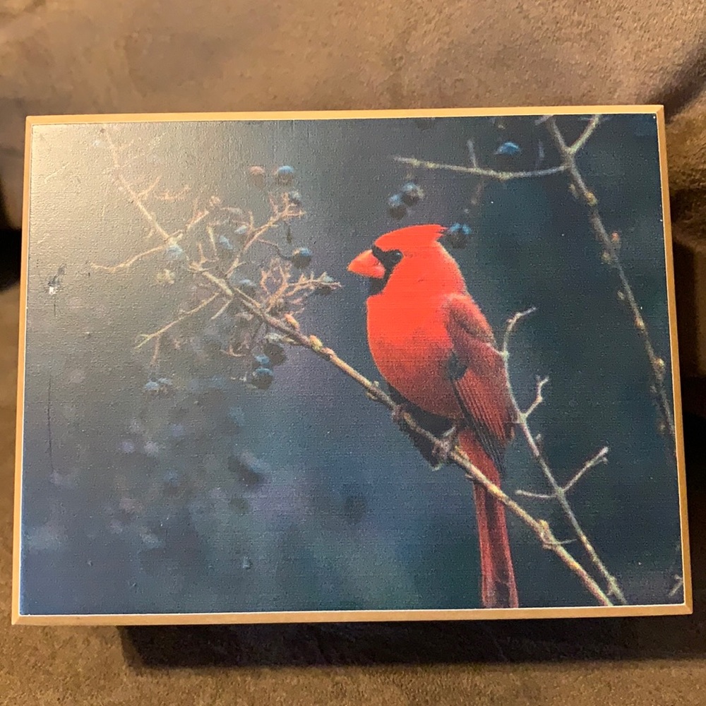 NEW Cardinal image Jewelry box or Card holder